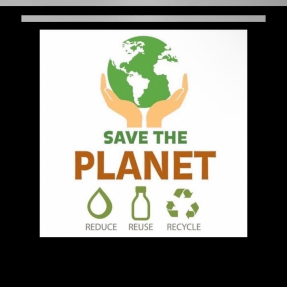 Rails M Plaid Flannel Button Down Shirt - image 4